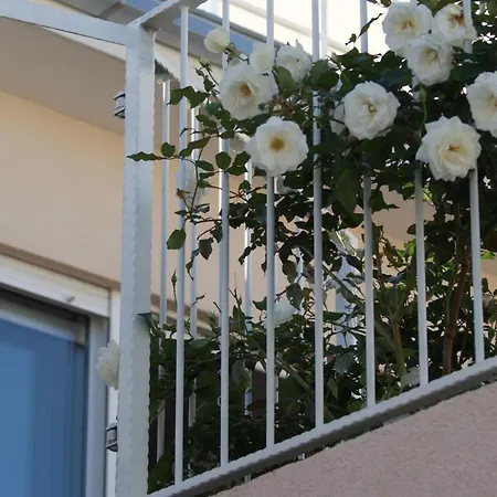Apartments Nena - Trogir Exterior photo